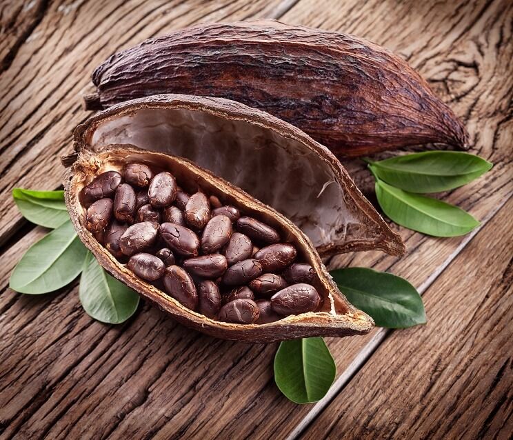 Image shows a fresh cocoa pod opened to reveal cocoa beans inside
