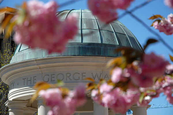 the top of the GW Tempietto in the background, cherry blossoms in front of it are focal point 