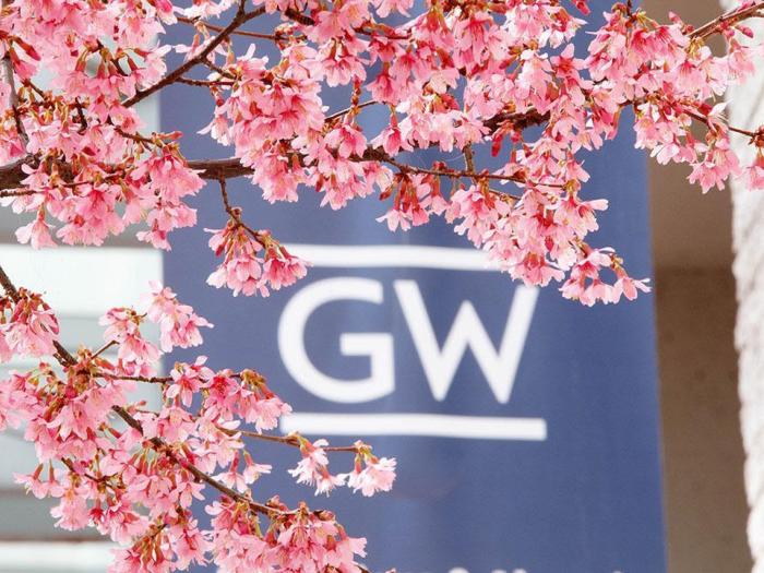 Cherry blossoms appear in front of a banner with the GW logo. 