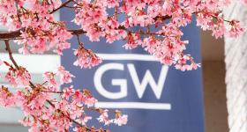 Cherry blossoms appear in front of a banner with the GW logo. 
