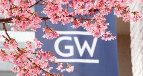 Cherry blossoms in front of a banner with the GW logo on it
